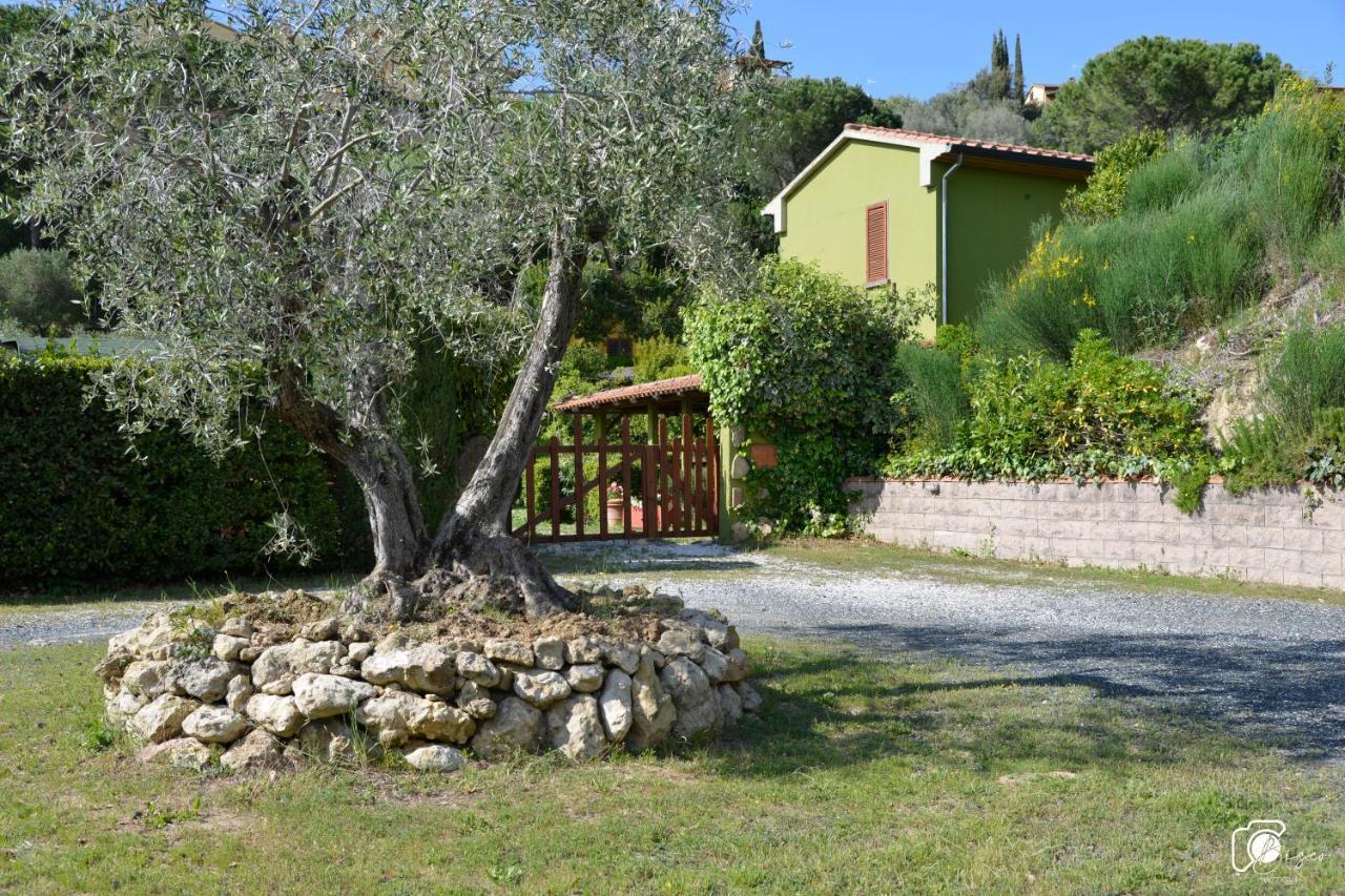 Casa Verde Country House Montescudaio Exteriör bild