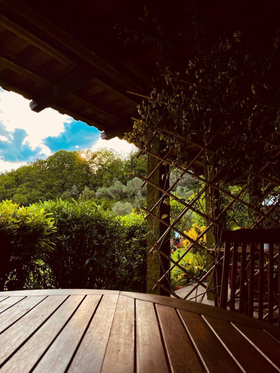 Casa Verde Country House Montescudaio Exteriör bild